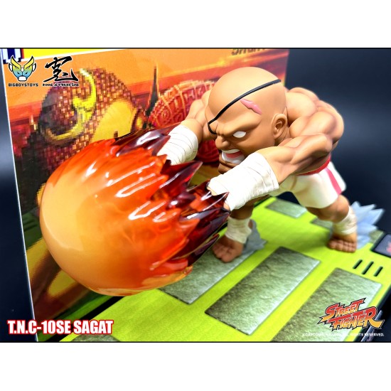 Street Fighter T.N.C.- 10SE Sagat (BGM Edition) 200pcs Limited