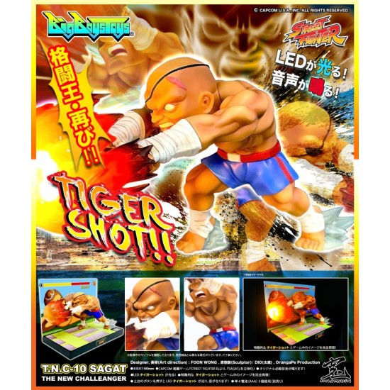 Street Fighter T.N.C.-10 (The New Challenger) Sagat