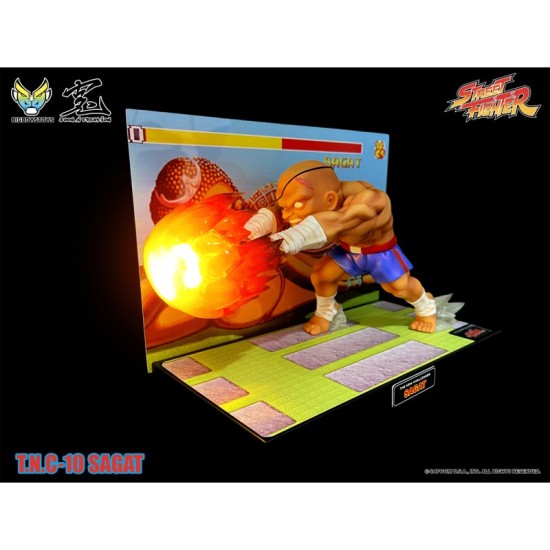 Street Fighter T.N.C.-10 (The New Challenger) Sagat