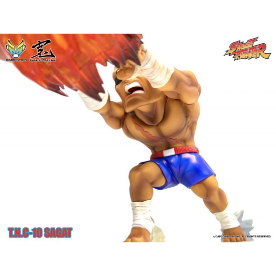 Street Fighter T.N.C.-10 (The New Challenger) Sagat