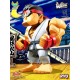 Bulkyz Collections - Street Fighter Ryu