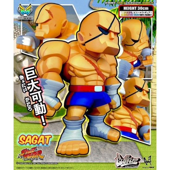 Bulkyz Collections – Street Fighter Sagat