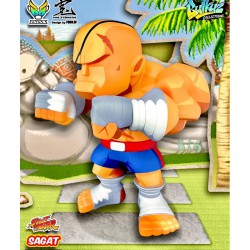 Bulkyz Collections – Street Fighter Sagat