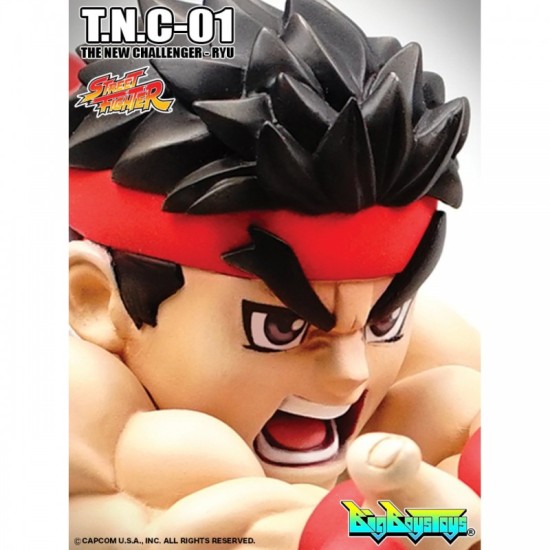 Street Fighter T.N.C.-01SE Ryu Special Editon (BGM Button)