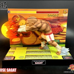 Street Fighter T.N.C.- 10SE Sagat (BGM Edition) 200pcs Limited