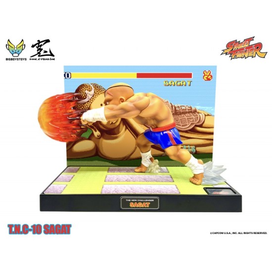 Street Fighter T.N.C.-10 (The New Challenger) Sagat